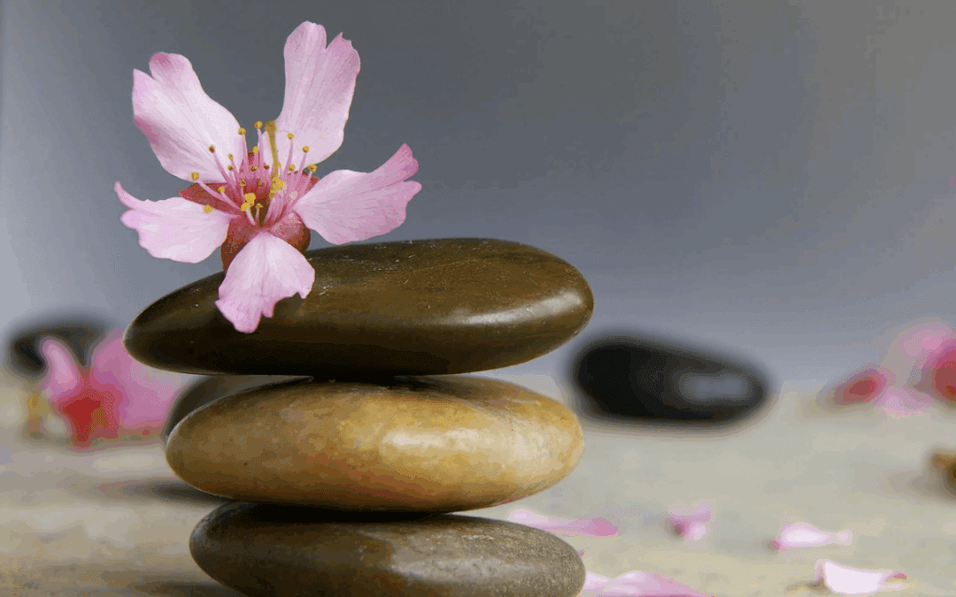 Navigating Insurance & Holistic Care