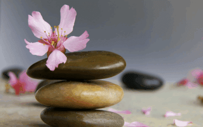 Navigating Insurance & Holistic Care